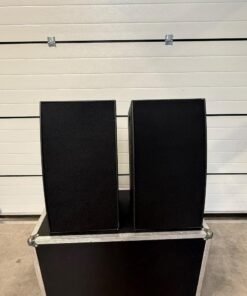 2X PL Audio Big Banana in Case mit Flugbügel |3000 EUR
